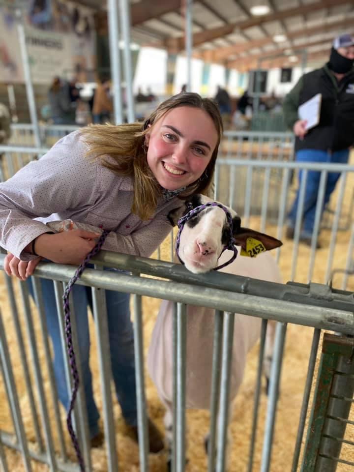 State livestock show award winners announced